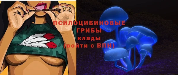 бутират Медвежьегорск