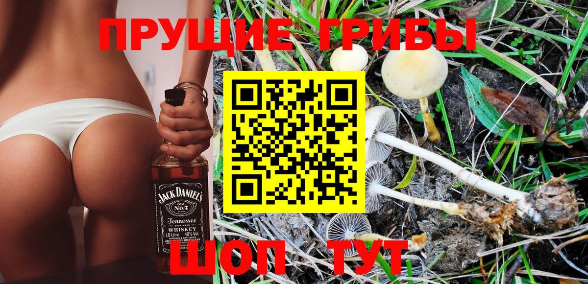 Галлюциногенные грибы Cubensis Таганрог