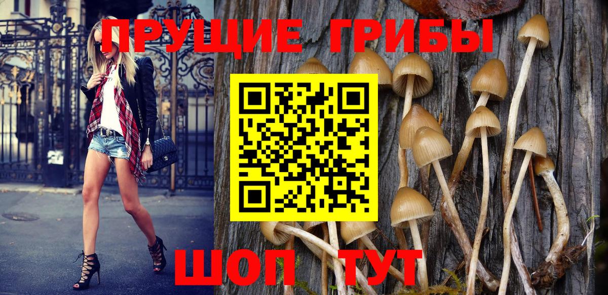 Псилоцибиновые грибы MAGIC MUSHROOMS Таганрог